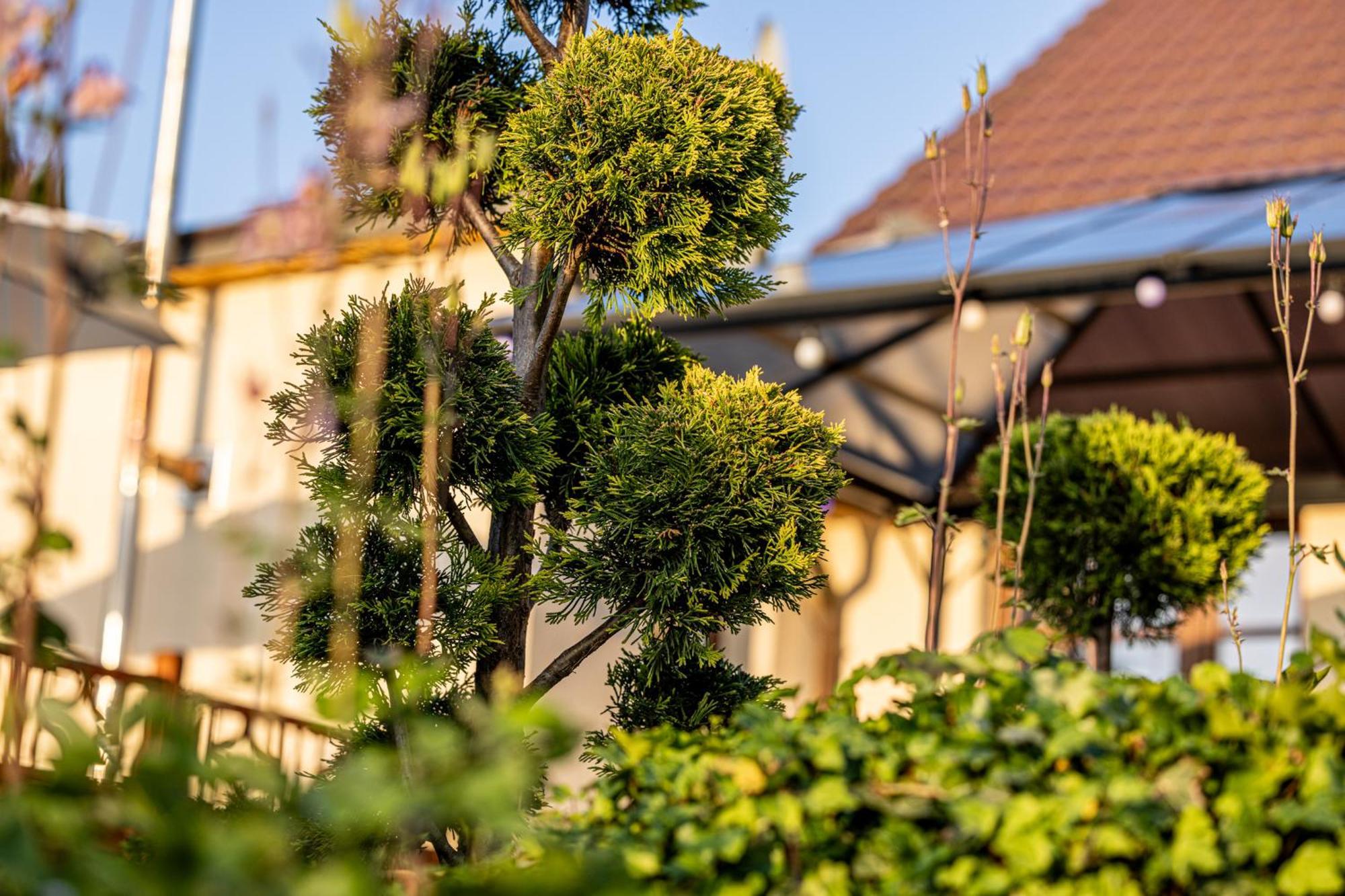 Wellnessparadies Mit Sauna Und Whirlpool Krakow am See Exterior foto